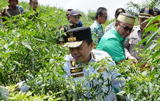 Gubernur Jambi, Dr. H. Al Haris, S.Sos, MH., saat bertemu dan berdialog dengan petani di Desa Tedar Kuranji, Kecamatan Maro Sebo Ilir, Kabupaten Batanghari. (Gambar: Ardi Susianto)